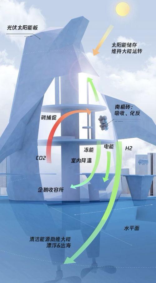 南极最新爆料视频网站,最新爆料视频网站带你领略极地奇观