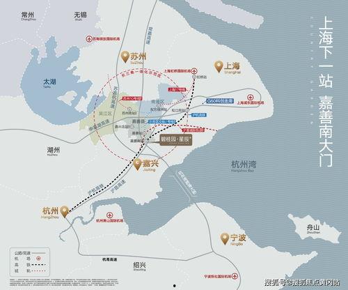 成武五中爆料事件最新进展