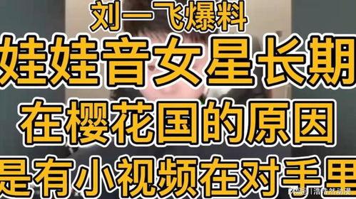 刘一飞最新爆料视频,事件真相再引热议 第3张 刘一飞最新爆料视频,事件真相再引热议 第3张