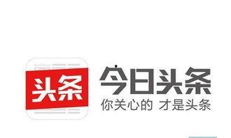石家庄今日头条新爆料,揭秘某神秘项目背后真相 第3张 石家庄今日头条新爆料,揭秘某神秘项目背后真相 第3张