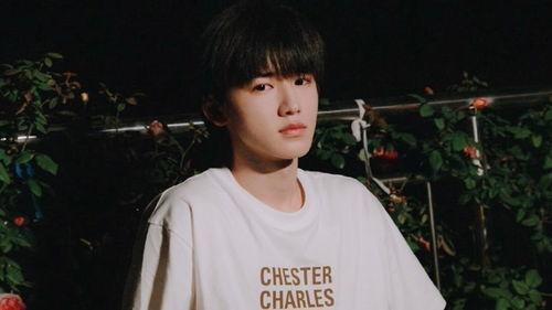 张真源私生爆料视频大全,揭秘明星私生活背后的真相  第3张