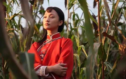 高粱红了在线观看,红色记忆的传承与再现  第2张 高粱红了在线观看,红色记忆的传承与再现  第2张