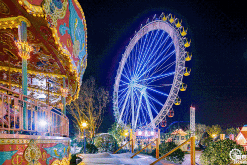 欢乐谷爆料事故案例视频,惊心动魄的瞬间回顾