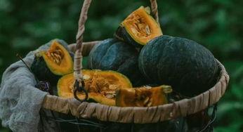 藏族网红吃瓜是谁啊,藏族网红“吃瓜”背后的故事  第2张 藏族网红吃瓜是谁啊,藏族网红“吃瓜”背后的故事  第2张