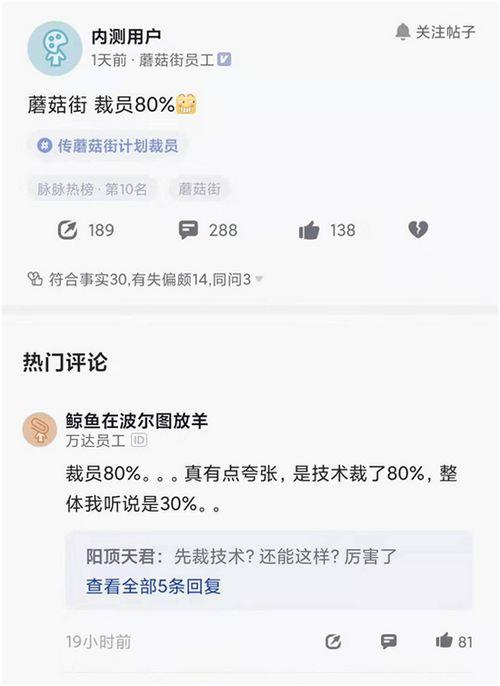 新浪网裁员最新爆料消息,最新爆料揭露裁员真相与影响”  第3张