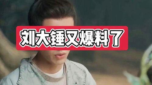 刘大锤最新爆料怀孕,娱乐圈新晋辣妈诞生  第2张 刘大锤最新爆料怀孕,娱乐圈新晋辣妈诞生  第2张