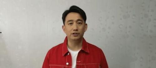 黄磊圈内人爆料了吗视频,揭秘娱乐圈不为人知的一面