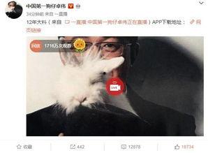 女生爆料出轨视频在线观看,女生出轨视频曝光,真相令人震惊!  第3张 女生爆料出轨视频在线观看,女生出轨视频曝光,真相令人震惊!  第3张