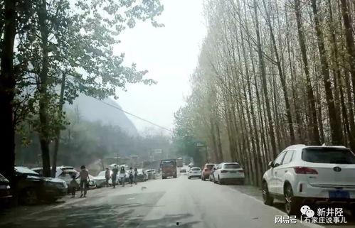 石家庄赵县最新爆料,揭秘石家庄这座古城的神秘故事  第3张 石家庄赵县最新爆料,揭秘石家庄这座古城的神秘故事  第3张