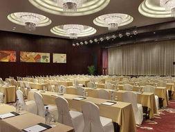 龙禧饭店爆料视频,内幕细节大曝光