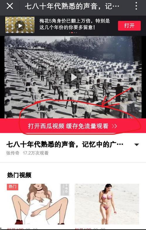 西瓜视频新闻爆料,最新热点事件深度解析  第2张