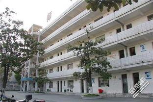 钟祥三中最新爆料,揭秘校园风云背后的真相  第2张