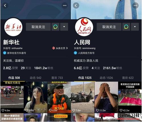 嘉兴网红爆料新闻报道视频  第3张