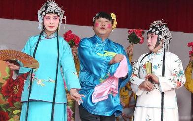 电视剧老家门口唱大戏在线观看,乡愁记忆里的乡村传奇  第3张