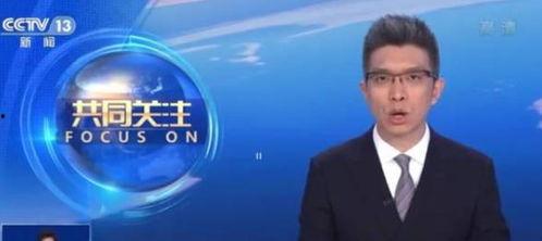 陈春花最新爆料消息直播,揭秘企业成功之道与行业变革趋势  第2张