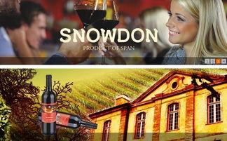 斯诺顿最新爆料,揭秘美国情报机构惊人内幕