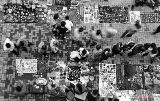 以藏 在线观看,在线领略神秘西藏之美  第3张