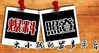 重庆爆料九龙坡新闻最新,最新爆料揭秘!