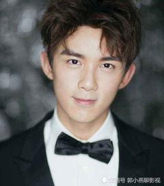 娱乐圈吃瓜吴磊是谁呀,揭秘吴磊的星光之路  第2张