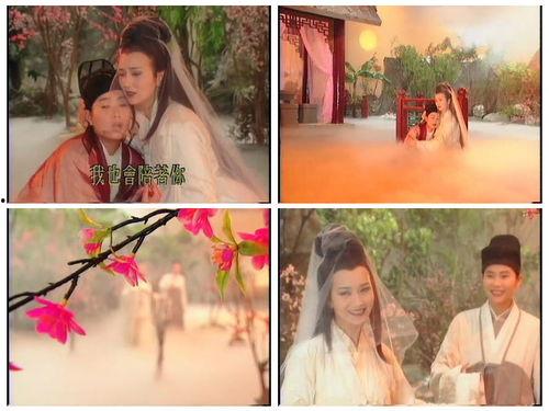 新孽海花传奇在线观看 第3张 新孽海花传奇在线观看 第3张