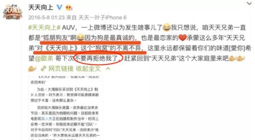 娱乐圈爆料400页内容,明星幕后真相与情感纠葛 第1张 娱乐圈爆料400页内容,明星幕后真相与情感纠葛 第1张