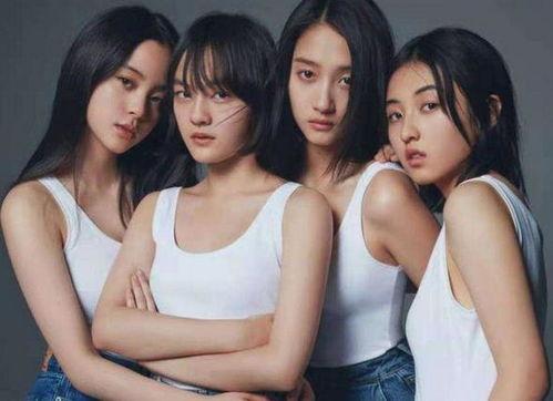 四小花最新爆料,揭秘娱乐圈幕后真相 第1张 四小花最新爆料,揭秘娱乐圈幕后真相 第1张