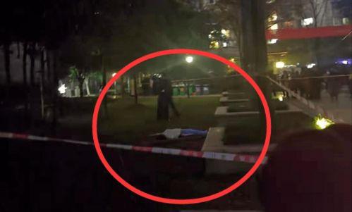 网友爆料自贡事件视频,网友爆料视频揭示惊人真相