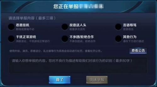 晶核30号最新版本爆料,全新功能与优化一览  第2张