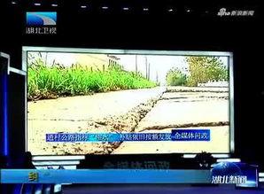 仙桃最新爆料新闻视频播放,视频揭秘事件真相，详情曝光！