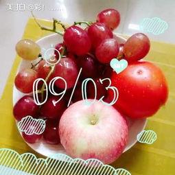 爆料提子视频大全集下载,一网打尽热门爆料瞬间  第2张