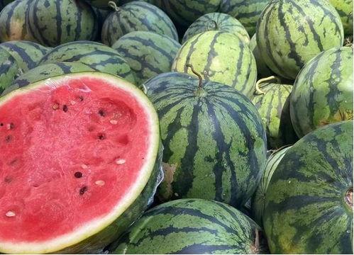 西瓜大爆料怎么做视频 第3张 西瓜大爆料怎么做视频 第3张