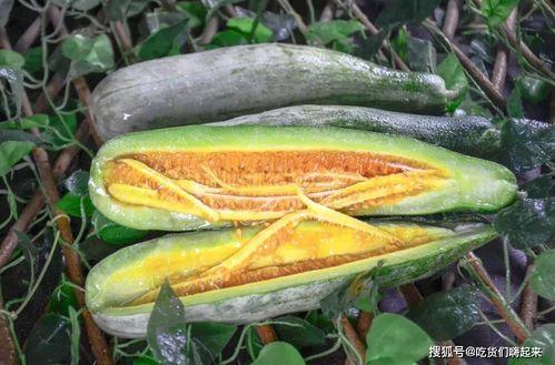 西宁网红吃瓜,一场美食与话题的盛宴 第3张 西宁网红吃瓜,一场美食与话题的盛宴 第3张