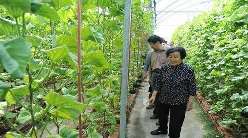 合肥吃瓜最新事件爆料是真的吗,真相揭秘还是无稽之谈? 第3张 合肥吃瓜最新事件爆料是真的吗,真相揭秘还是无稽之谈? 第3张