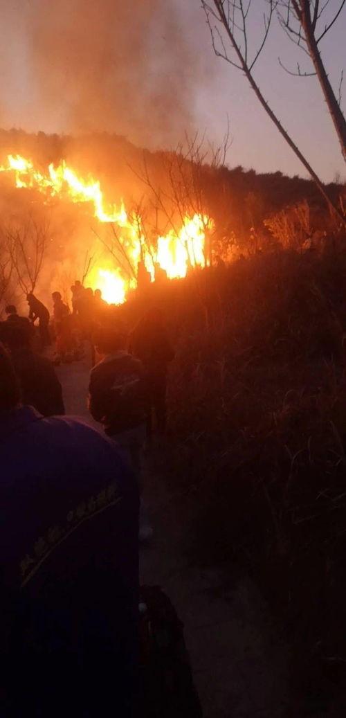 狮子山爆料视频最新版,惊人内幕曝光！  第3张