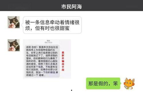 小卫最新爆料,揭秘娱乐圈最新热点事件  第3张