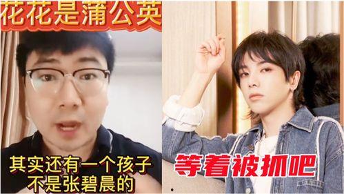 爆料导演事件视频大全集,揭秘影视圈幕后真相