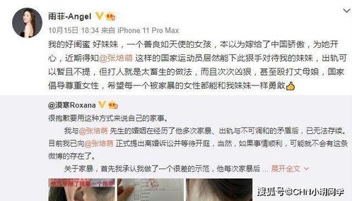 老李老婆爆料视频在线观看,真相大白，在线观看全程回顾  第3张