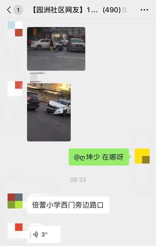 园洲今日爆料最新消息,最新动态速览，揭秘热点事件！