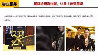 广州爆料大王视频,真相与反思