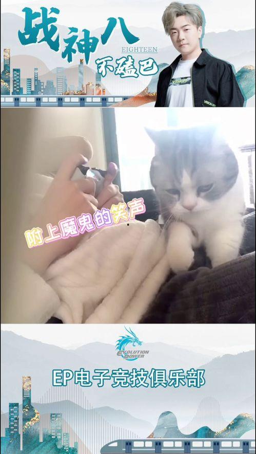 18按摩师在线观看,18按摩师在线观看,揭秘专业按摩技巧与放松之道 第2张 18按摩师在线观看,18按摩师在线观看,揭秘专业按摩技巧与放松之道 第2张