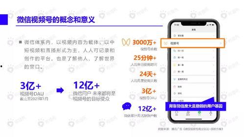 建湖网友爆料视频大全下载,精彩瞬间一网打尽