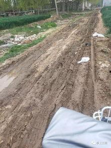 泥巴爆料视频大全,揭秘热门视频背后的精彩故事