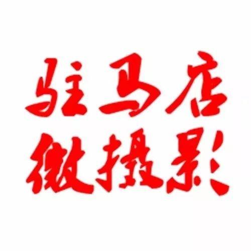 驻马店天中晚报新闻爆料,揭秘某地神秘事件，真相令人震惊！