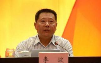 记者爆料李波视频,记者揭秘背后惊人真相 第2张 记者爆料李波视频,记者揭秘背后惊人真相 第2张