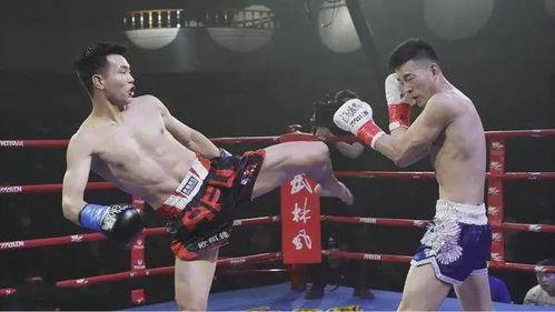宋少秋最新爆料,娱乐圈背后惊人内幕