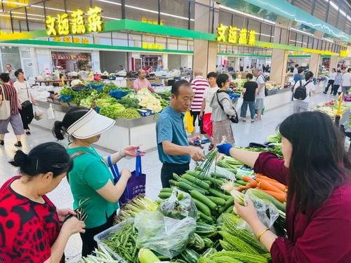河南菜市场爆料新闻报道,新鲜食材与人间烟火气交织 第2张 河南菜市场爆料新闻报道,新鲜食材与人间烟火气交织 第2张
