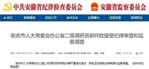 大皖新闻 爆料电话,神秘电话事件引发关注 第3张 大皖新闻 爆料电话,神秘电话事件引发关注 第3张