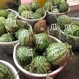 娱乐吃瓜壁纸高清图片,一图览尽娱乐圈风云变幻 第3张 娱乐吃瓜壁纸高清图片,一图览尽娱乐圈风云变幻 第3张