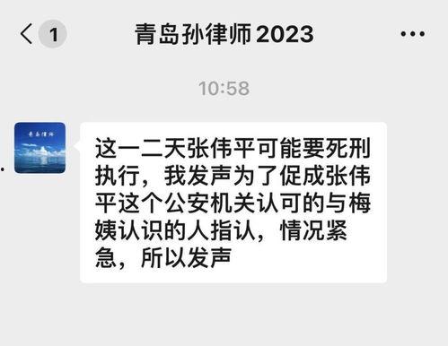 律师爆料梅姨视频,律师揭露惊人内幕 第3张 律师爆料梅姨视频,律师揭露惊人内幕 第3张