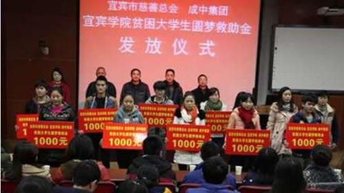 宜宾学校爆料视频,揭秘校园内幕事件
